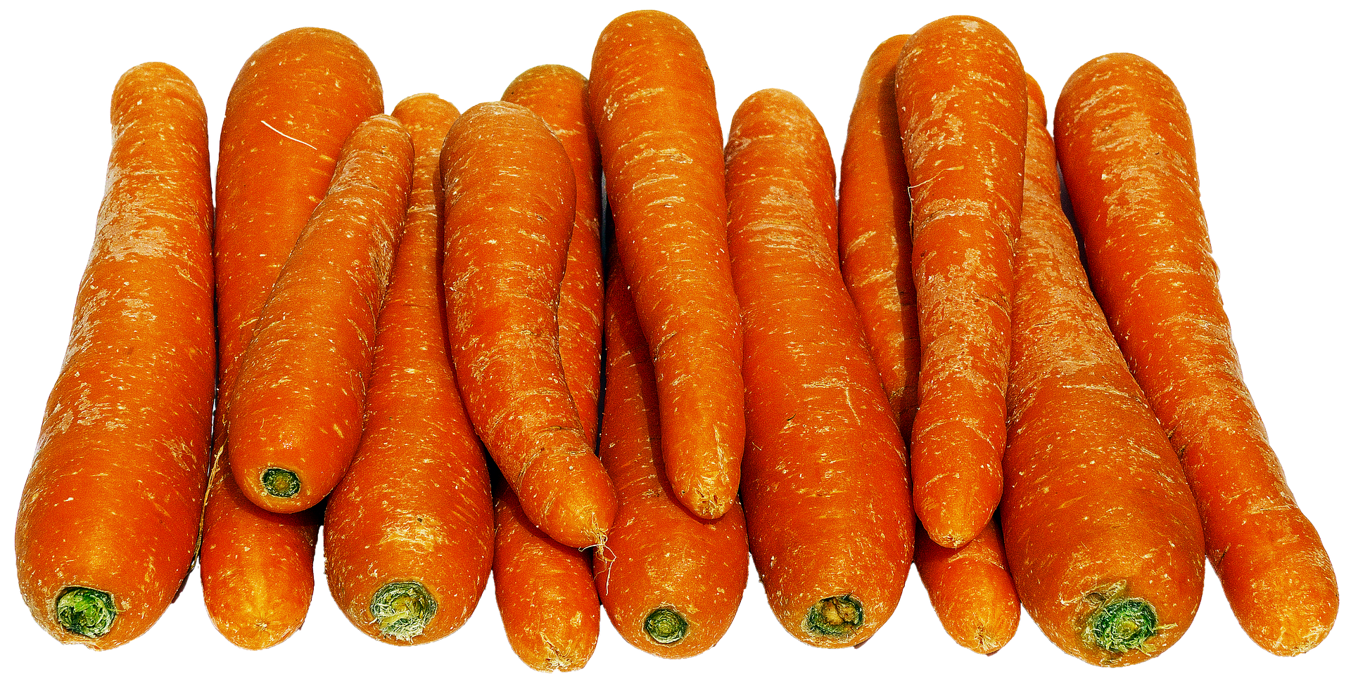 Carrot